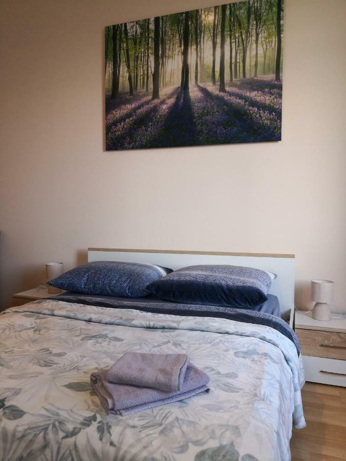 Appartement Apartman Bulevard à Rijeka Extérieur photo